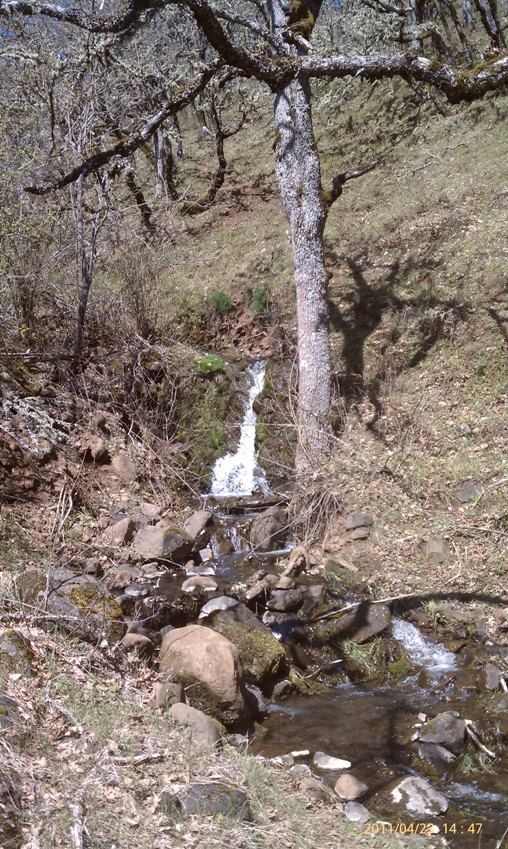 Burdoin Mt Creek