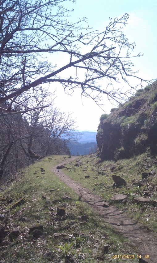 Burdoin Mountain Trail