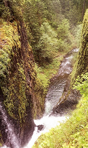 Eagle Creek Looking Down