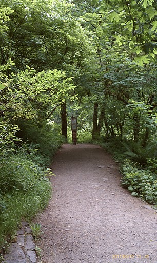 Eagle Creek Trail