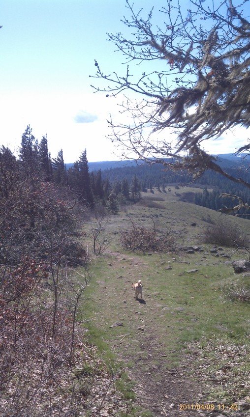 Picture of the East Ridge Trail