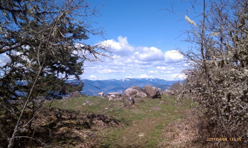 View of the East Ridge Trail in Hood River