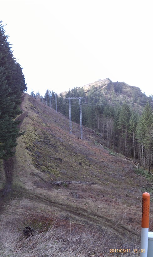 Picture of Mitchell Point in Hood River, Oregon